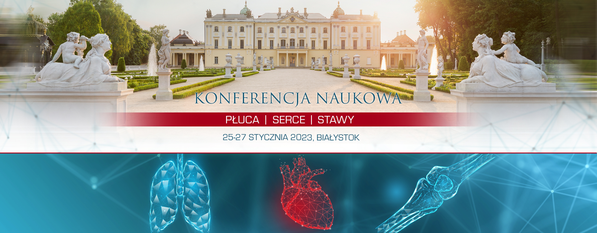 Konferencja „Płuca, serce i stawy